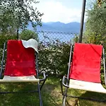 D' Oro Torri