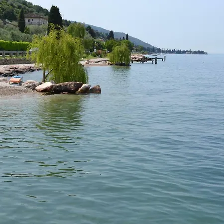 D' Oro Torri