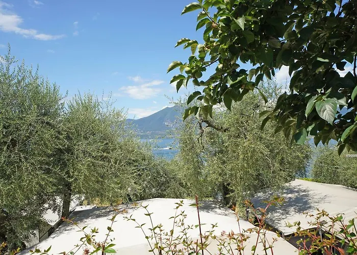 D' Oro Torri Kemping